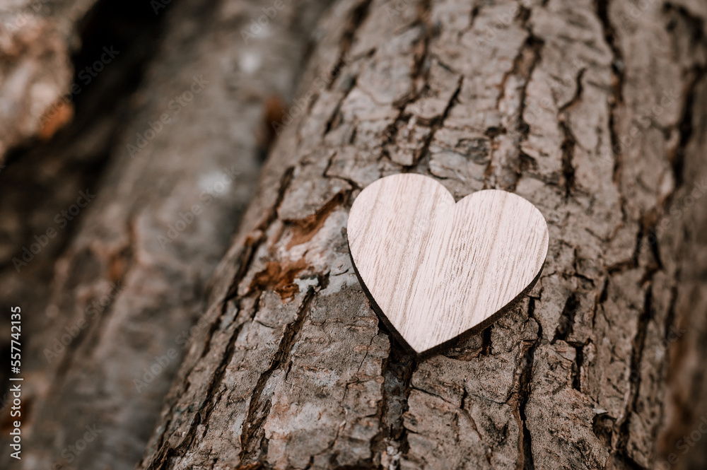 Obraz premium heart on wood