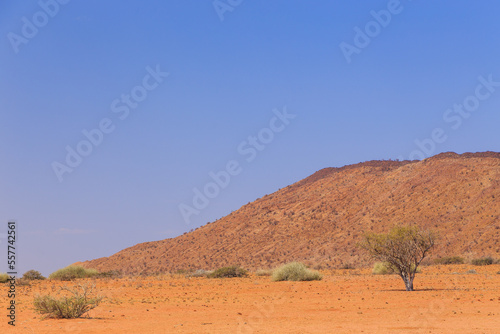 Namibian landscape Damaraland  homelands in South West Africa  Namibia.