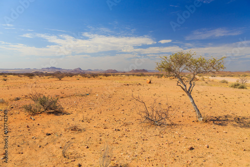 Namibian landscape Damaraland  homelands in South West Africa  Namibia.