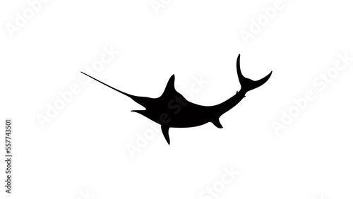 Swordfish silhouette