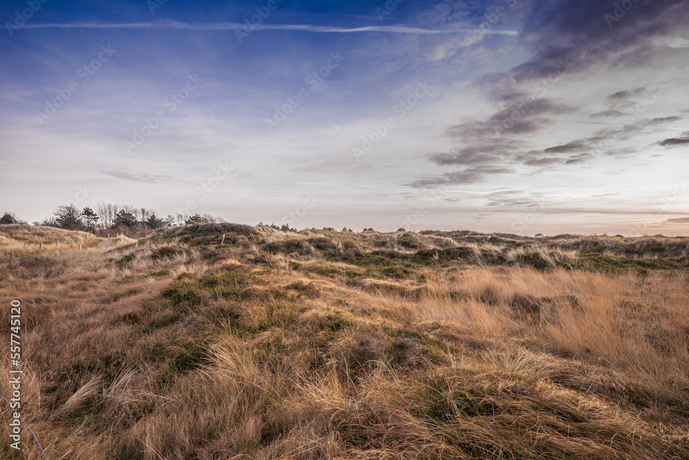 Wanderweg in den Dünen