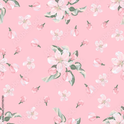 Floral seamless pattern with blooming apple tree buds and flowers on a pink background, digital freehand drawing. © Юлія Алексенко