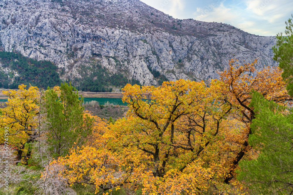 River Cetina, Omiš and mountains in Croatia. Croatian nature landscape. December on the Adriatic sea coast