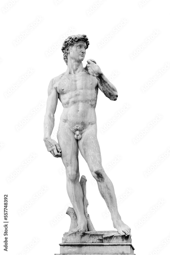 Renaissance statue of David by Michelangelo isolated Renaissance statue of David by Michelangelo isolated