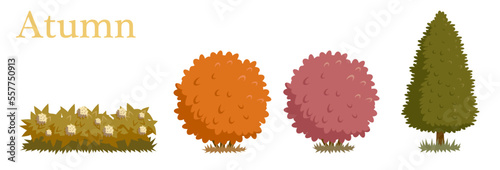 An illustrated set of shrubs and bushes in autumn