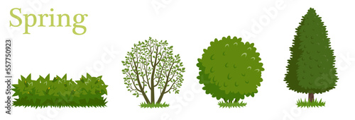 An illustrated set of shrubs and bushes in spring