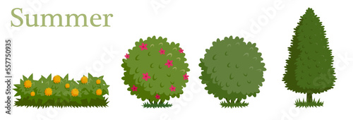 An illustrated set of shrubs and bushes in summer