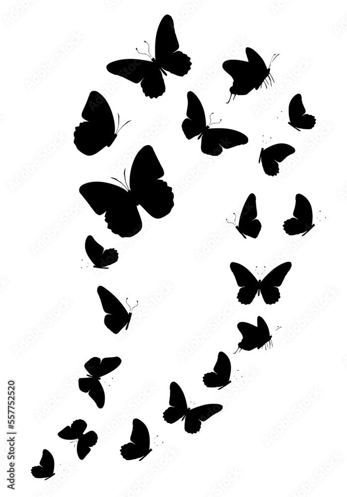Flock of silhouette black butterflies on white background. Vector Flock of silhouette black butterflies on white background. Vector
