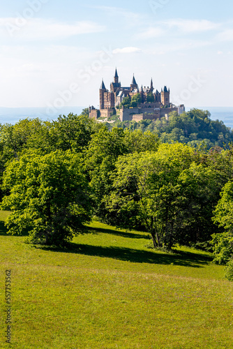 german medieval hohenzollern castle with trees and meadow in foreground