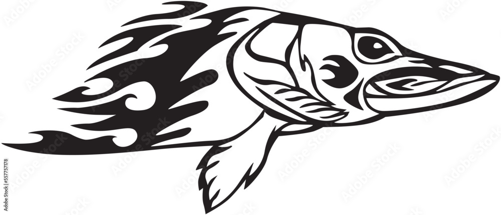 illustration of a fish