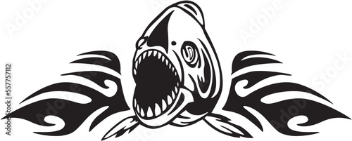 shark illustration 