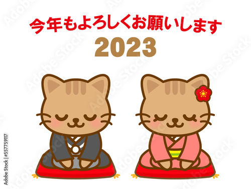 新年の挨拶をする着物姿の猫の素材