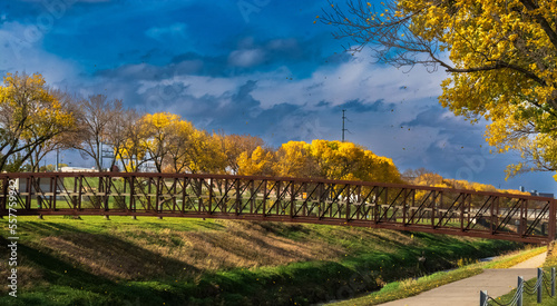 Yellow trees by bridge