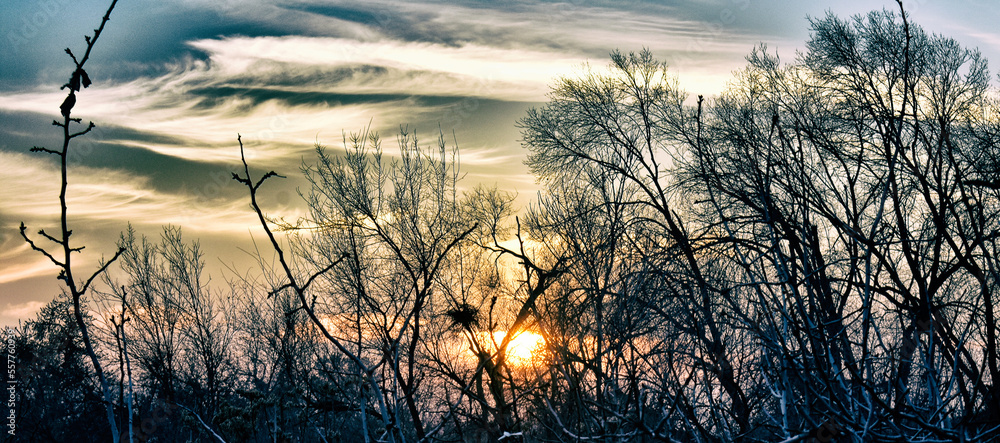 Obraz premium Sunset in the forest