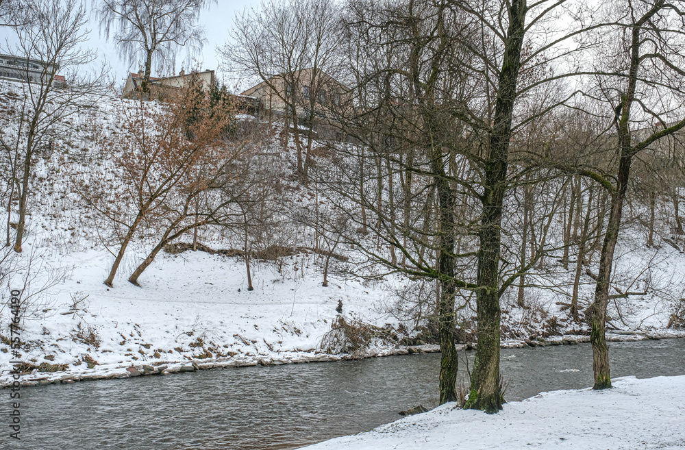 custom made wallpaper toronto digitalView of Vilnia river in winter, Bernardinu Garden, Vilnius, Lithuania