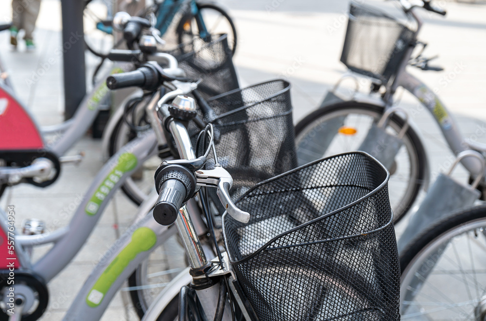 Fototapeta premium Bicycles on the street in the city for rental. Urban background. Rental of bikes. A row of gray bikes with baskets available to sell or rent. 