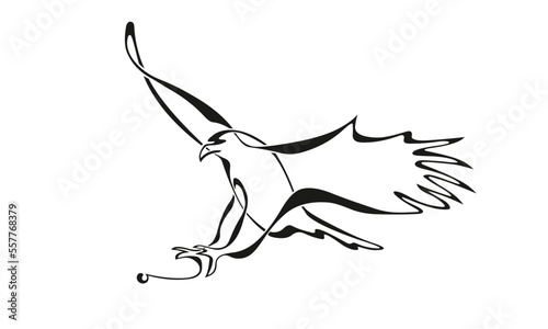 Adler