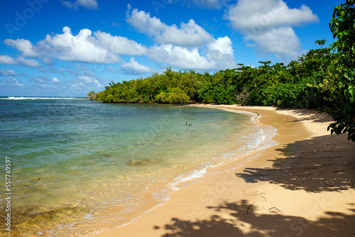 Fototapeta Naklejka Na Ścianę i Meble -  caribbean waves and beach in guadalupe