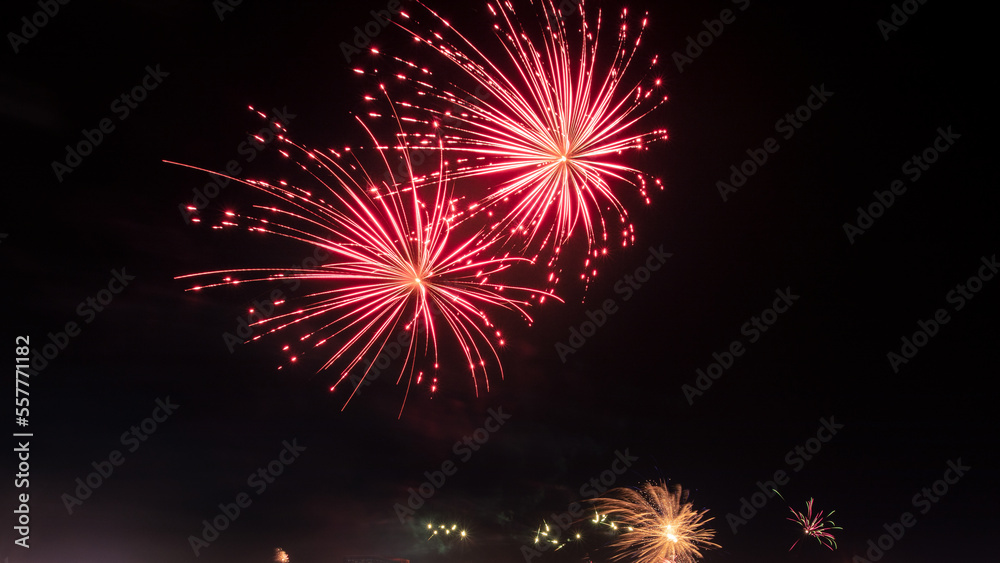 fireworks in the night sky - obrazy, fototapety, plakaty 