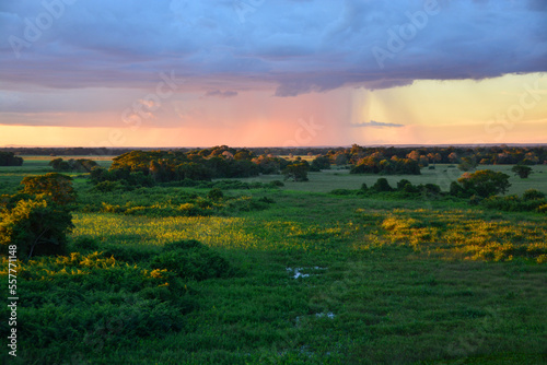 Beautiful purple evening sky with clouds and rain over the green floodplains of Pantanal, Mato Grosso, Brazil