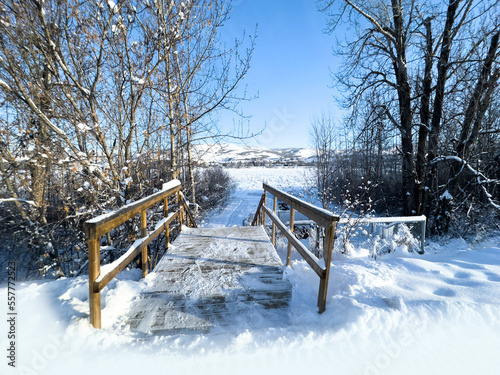 Winter Canada Snow Peace River Frost Frosty Cold Perfect Day Blue Bird Sky