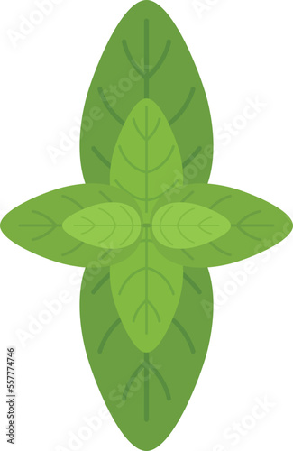 Basil herb icon flat vector. Spice leaf. Leaves plant isolated