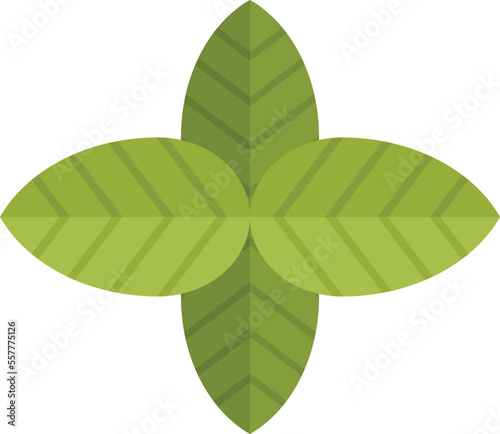Basil food icon flat vector. Herb spice. Cooking basil isolated