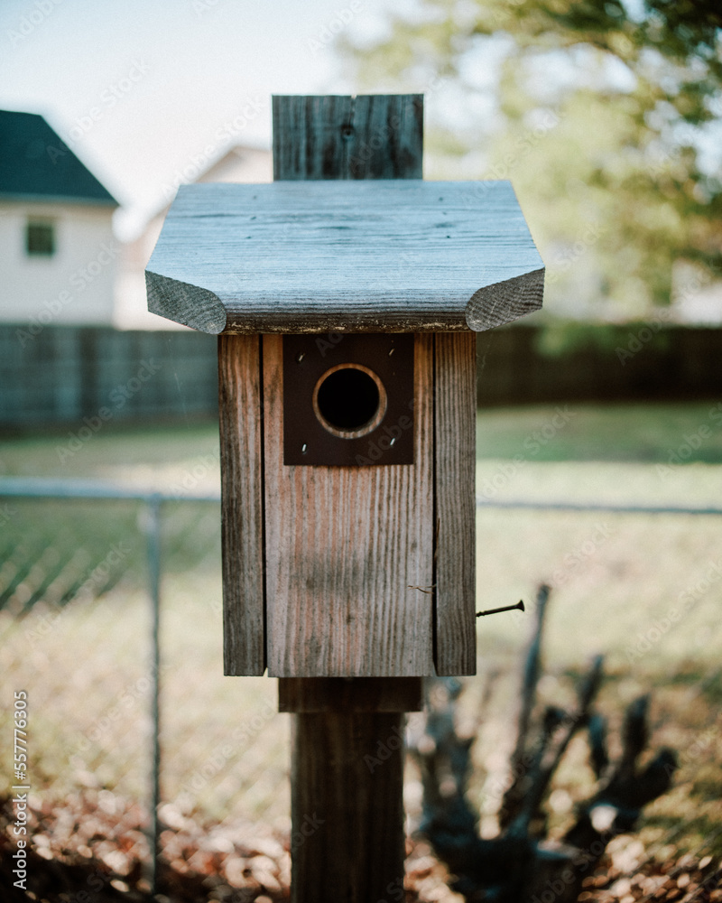 Birdhouse with House in Background