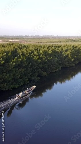 Vertical video of Boat on river with mangrove trees, following from behind photo