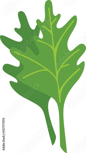 Parsley food icon flat vector. Herb leaf. Slice salad isolated