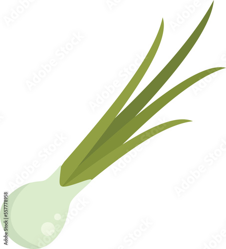 Chop chive icon flat vector. Chinese onion. Fresh herb isolated