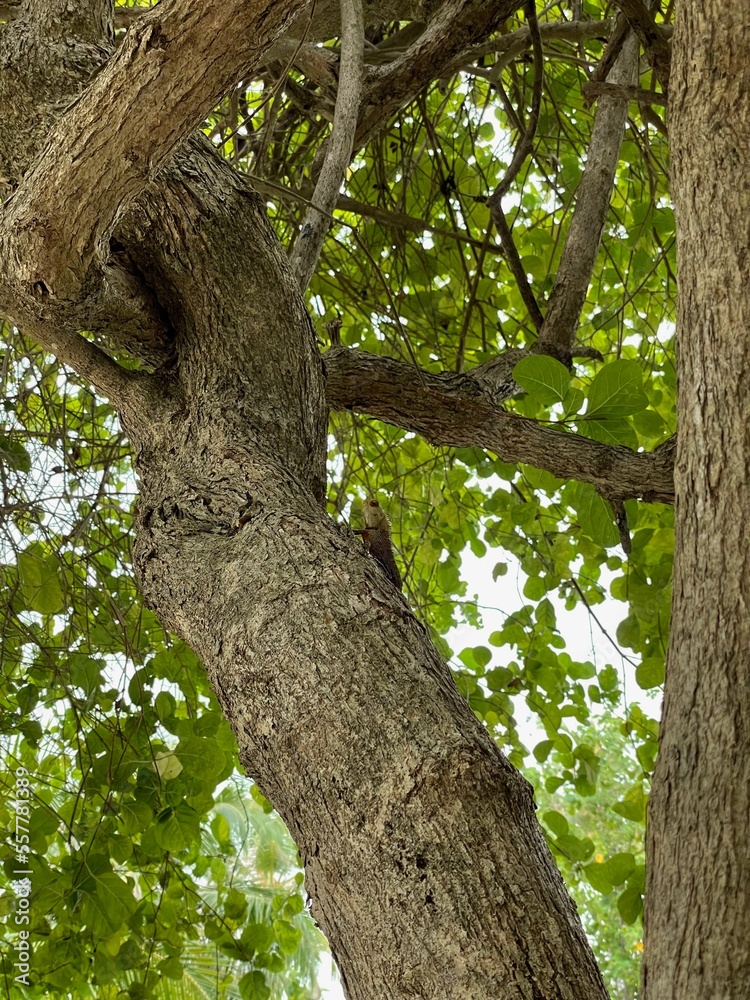 Beautiful holidays at Maledives