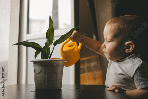 child takes care of home plants