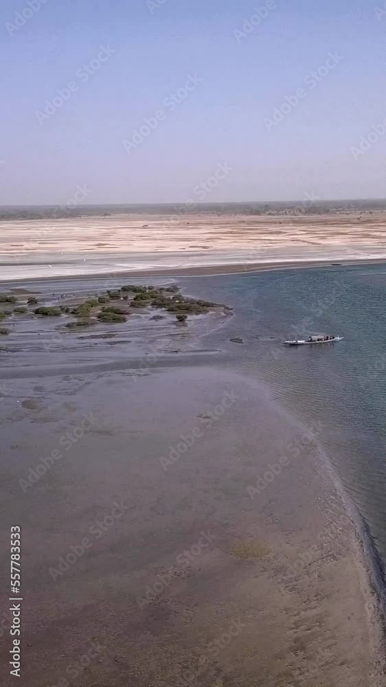 Vertical video of River delta with mangrove islands, salty sandy area, pink flamingos and boat Vertical video of River delta with mangrove islands, salty sandy area, pink flamingos and boat