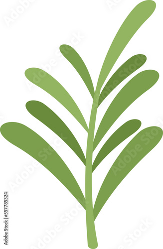 Herbal rosemary icon flat vector. Herb plant. Leaf branch isolated