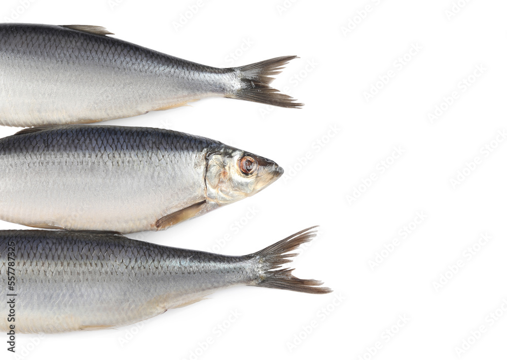 Delicious whole salted herrings isolated on white, top view Delicious whole salted herrings isolated on white, top view