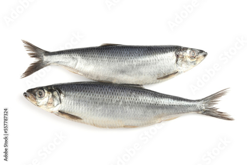Delicious whole salted herrings isolated on white, top view