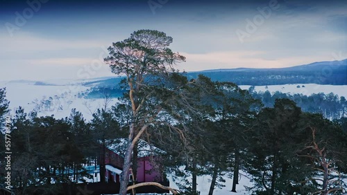 Khuzhir Village. The tops of pine trees on the background of the mountains. Beautiful winter sunrise. Baikal, Siberia, Russia. Drone aerial shot photo