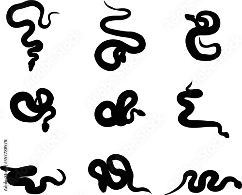 A collection of snakes in a variety of positions