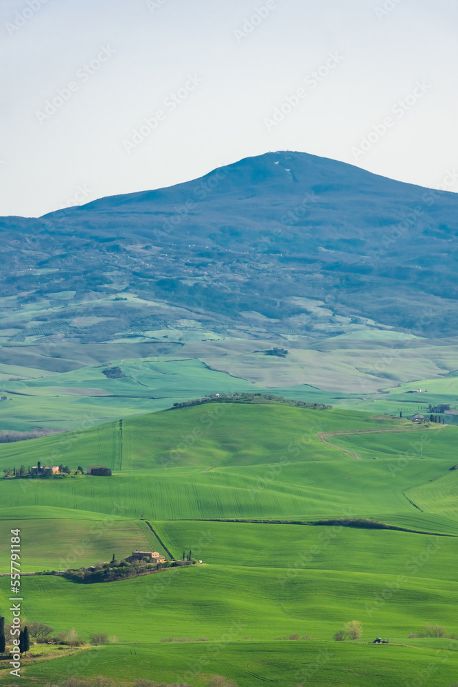 Beautiful green hills in the countryside of Tuscany,  Italy