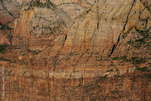 Vast Wall Of Zion Canyon From Deer Trap