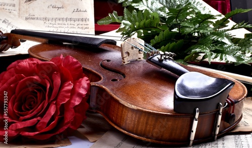 violin and rose