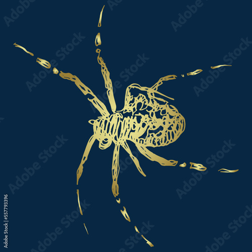 Cross spider. Araneus diadematus. European garden spider. Hand drawn linear doodle rough sketch.  Golden yellow silhouette on blue background.
