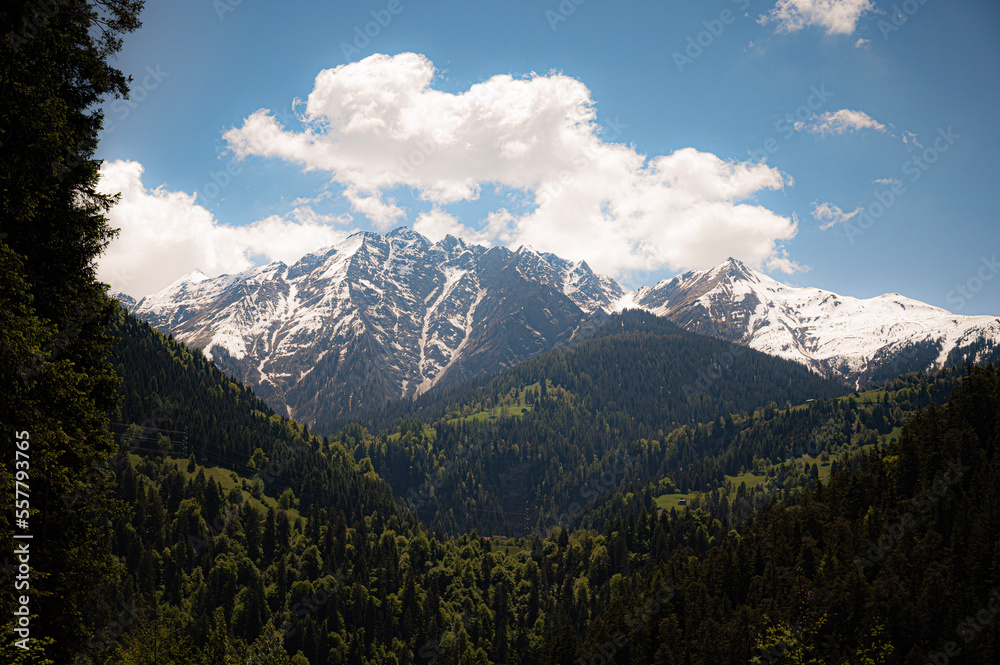 Alpine contrast