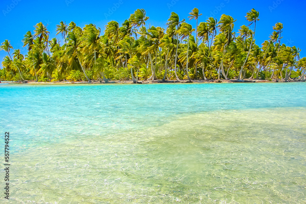 Bora Bora Tropical paradise, Idyllic turquoise beach in French Polynesia, Tahiti