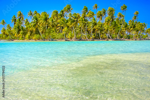 Obraz na płótnie Bora Bora Tropical paradise, Idyllic turquoise beach in French Polynesia, Tahiti w salonie