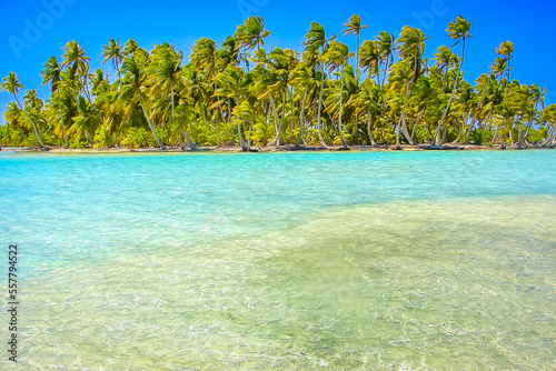 Bora Bora Tropical paradise, Idyllic turquoise beach in French Polynesia, Tahiti