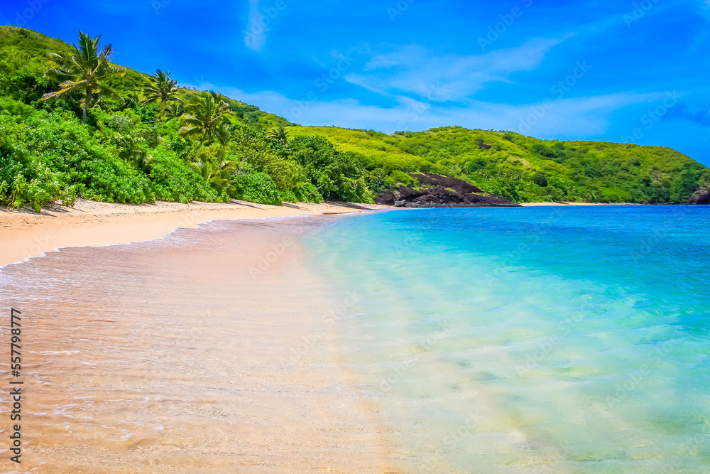 Tropical sandy beach at summer day in Fiji Islands, Pacific ocean