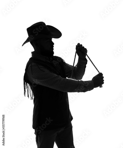 Silhouette of cowboy with r...