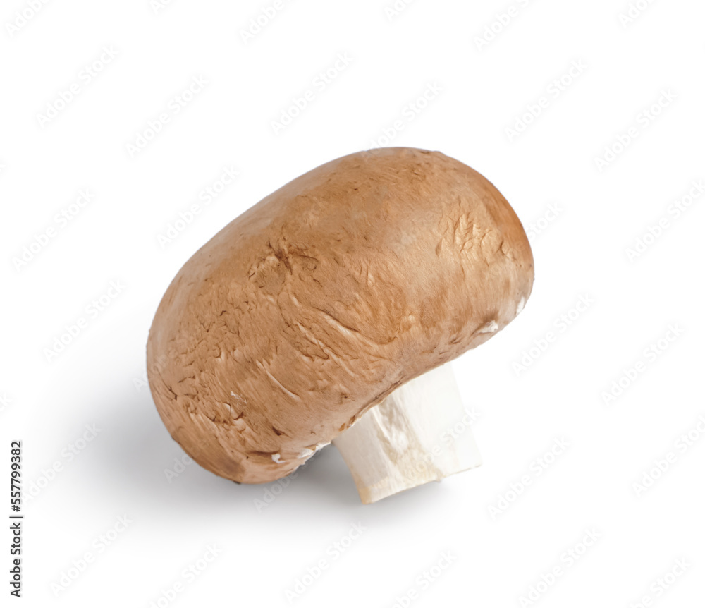 Fresh champignon mushroom isolated on white background Fresh champignon mushroom isolated on white background